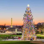 Holiday Inn Express Washington Dc Downtown By Ihg